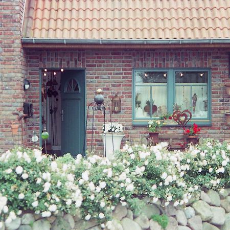 Ferienhaus Wattenhus ビューズム エクステリア 写真